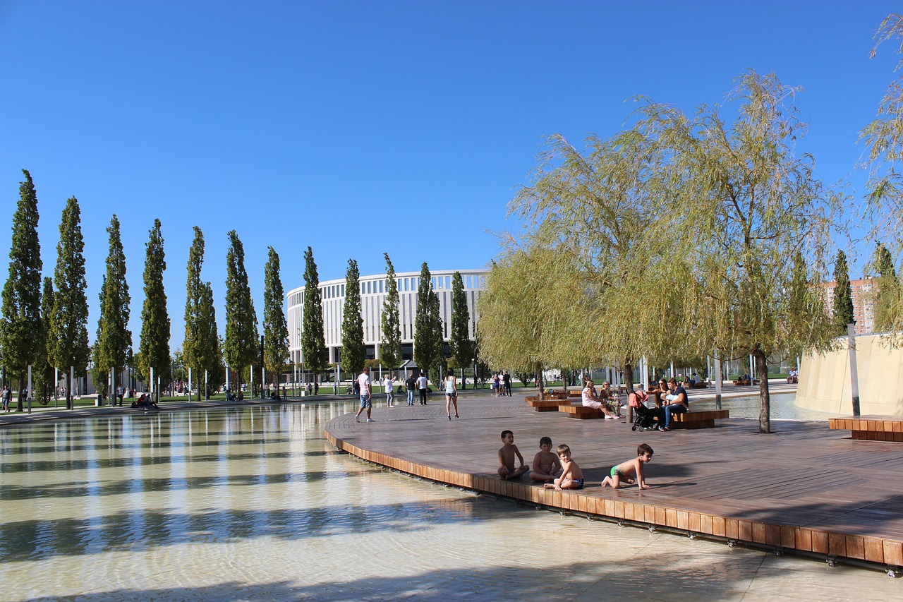 球迷看到了 球迷看到了