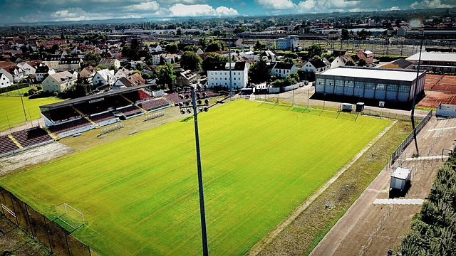 並可以在英 並可以在英