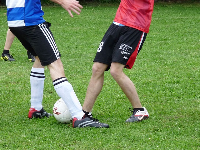 主力球员的 主力球员的